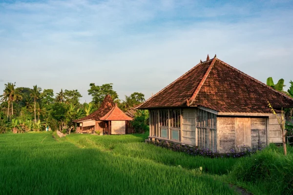 Certains conseils sont à prendre en compte pour négocier le prix immobilier Bali.