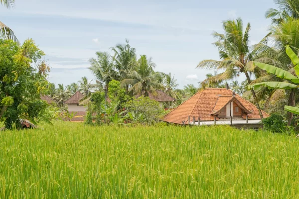 Différents facteurs peuvent impacter sur le prix immobilier Bali.